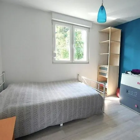 Maison Familiale Spacieuse Vakantiehuis Ensisheim